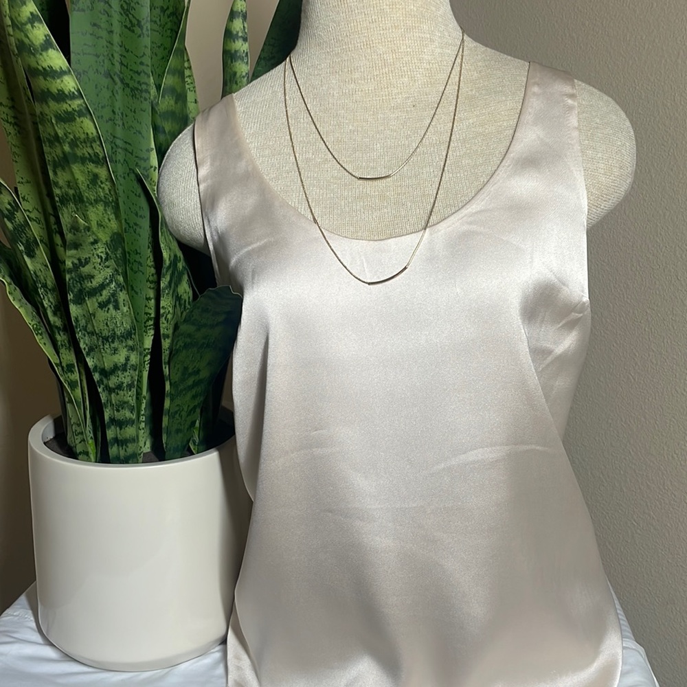 Express Silk reversible top